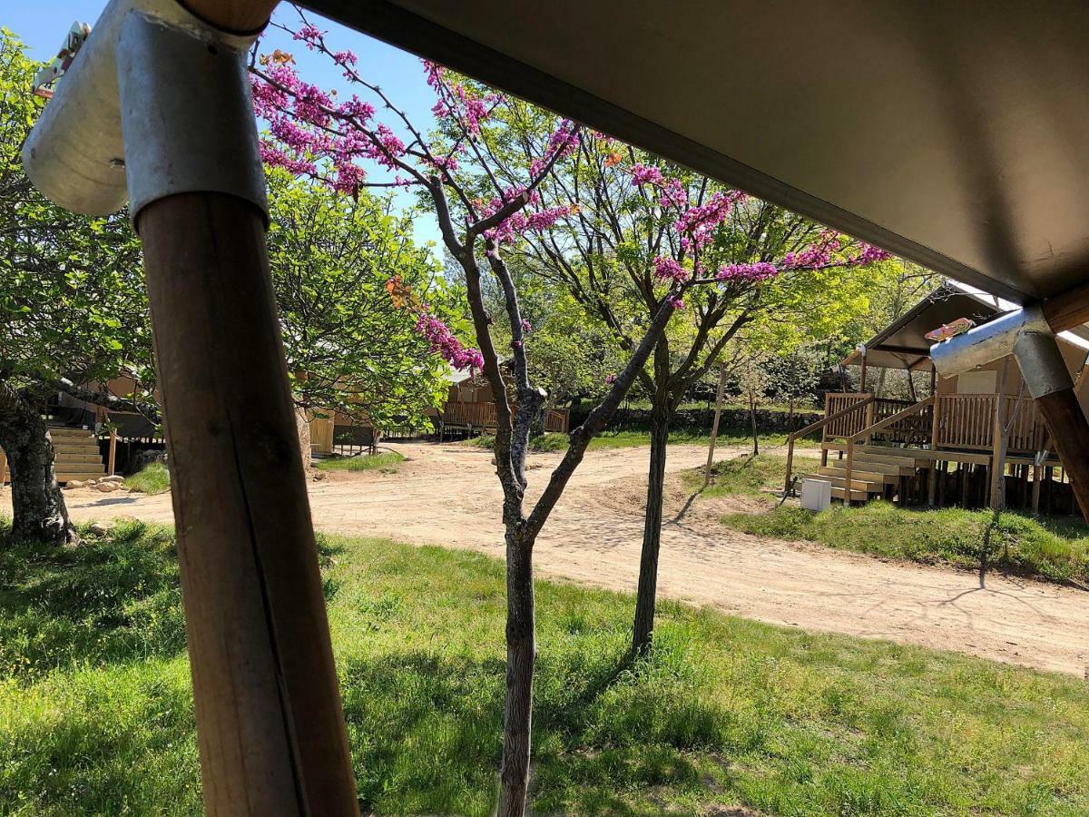Veragua. Glamping Y Apartamentos Turisticos Вильянуэва-де-ла-Вера Экстерьер фото